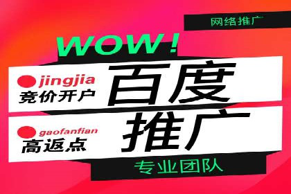 百度广告推广案例解析